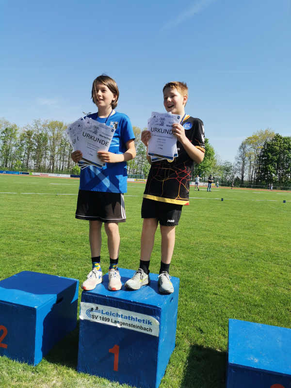 Svl wt
